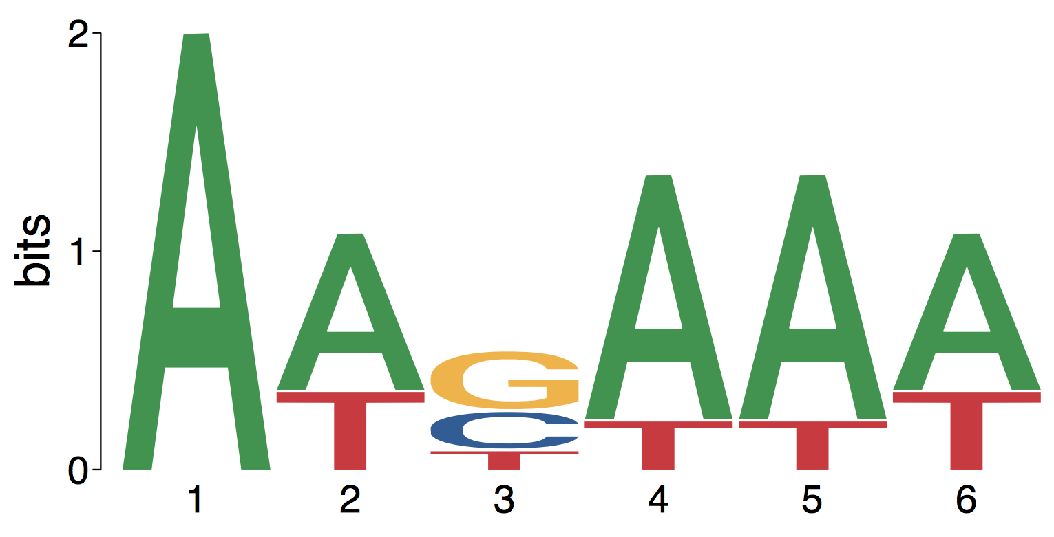 Sequence Logo of Information Content Matrix
