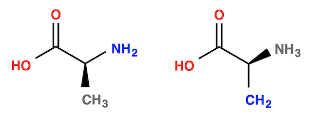 Molecule with Custom Wedge/Hash