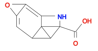 Tyrosine Molecule Minimized Structure