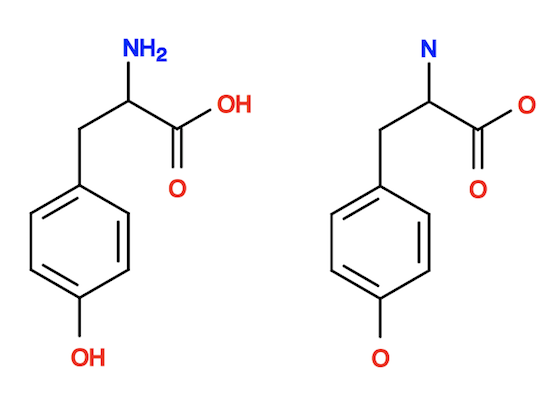 Tyrosine Molecule without and with Hydrogen Symbols